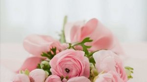 Израненное Крыло! Христианские стихи ХВЕ о Духе Святом, о Пятидесятнице, Пророчества