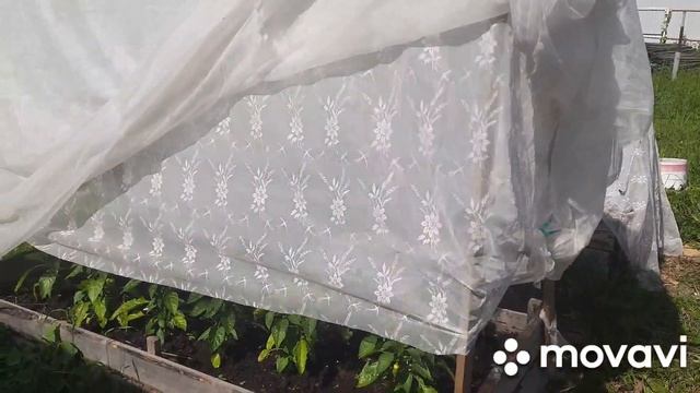 #лайфхак! Использую старую тюль на огороде! ? смотреть онлайн