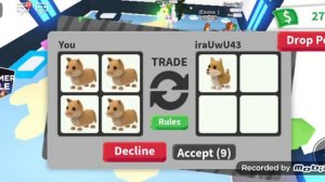 Траидим кенгуру смотрим чтоз а неё доют и открываем яица