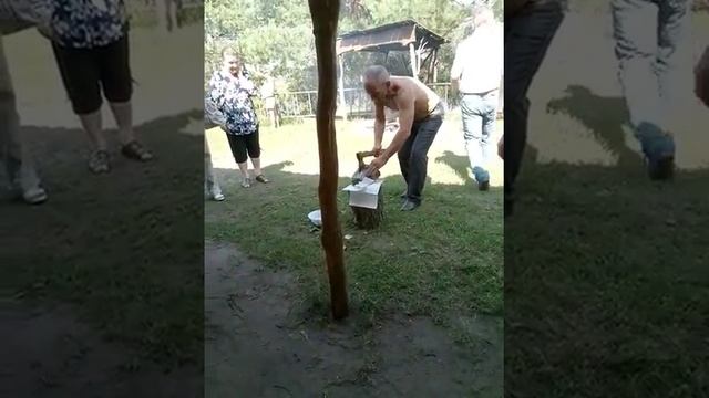Уха из головы сома. смотреть онлайн