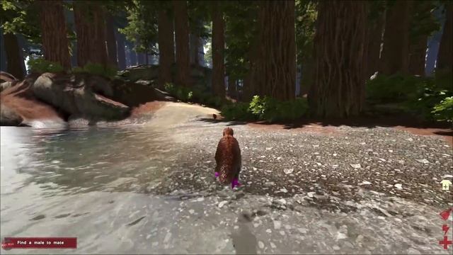 THE TERROR BIRD STRUGGLE | PLAY AS A DINO | ARK SURVIVAL EVOLVED смотреть онлайн