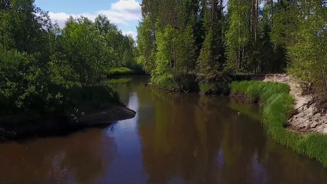 Деревня Канава, Северо-Екатерининский канал, речка Северная Кельтма.Дикая природа этих мест. смотреть онлайн