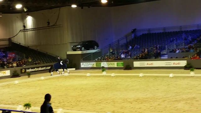 Edward Gal смотреть онлайн