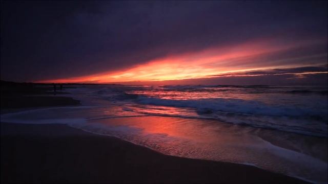Relax Video | The Sound of the Sea and Wind, The Cry of the Seagulls at Sunset смотреть онлайн