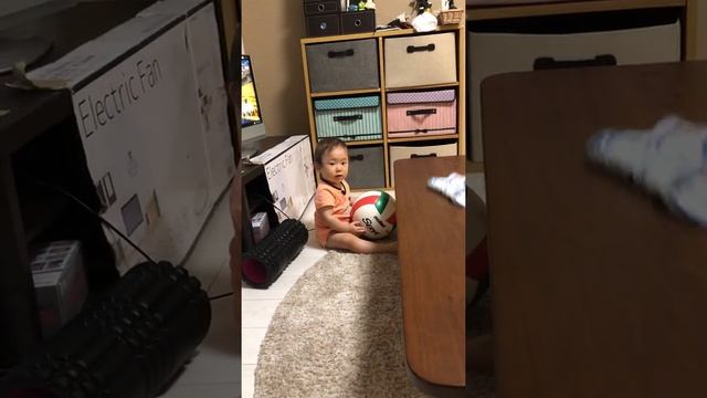 バレーボールで遊ぶ赤ちゃん смотреть онлайн