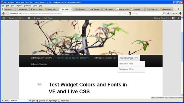CSS - How To Create Colored Link Website Navigation-Bar WordPress Breadcrumbs смотреть онлайн