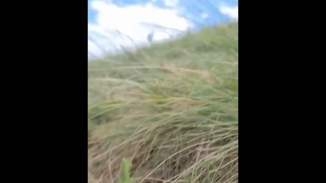 Ляйсан Утяшева с семьёй в Башкирии смотреть онлайн