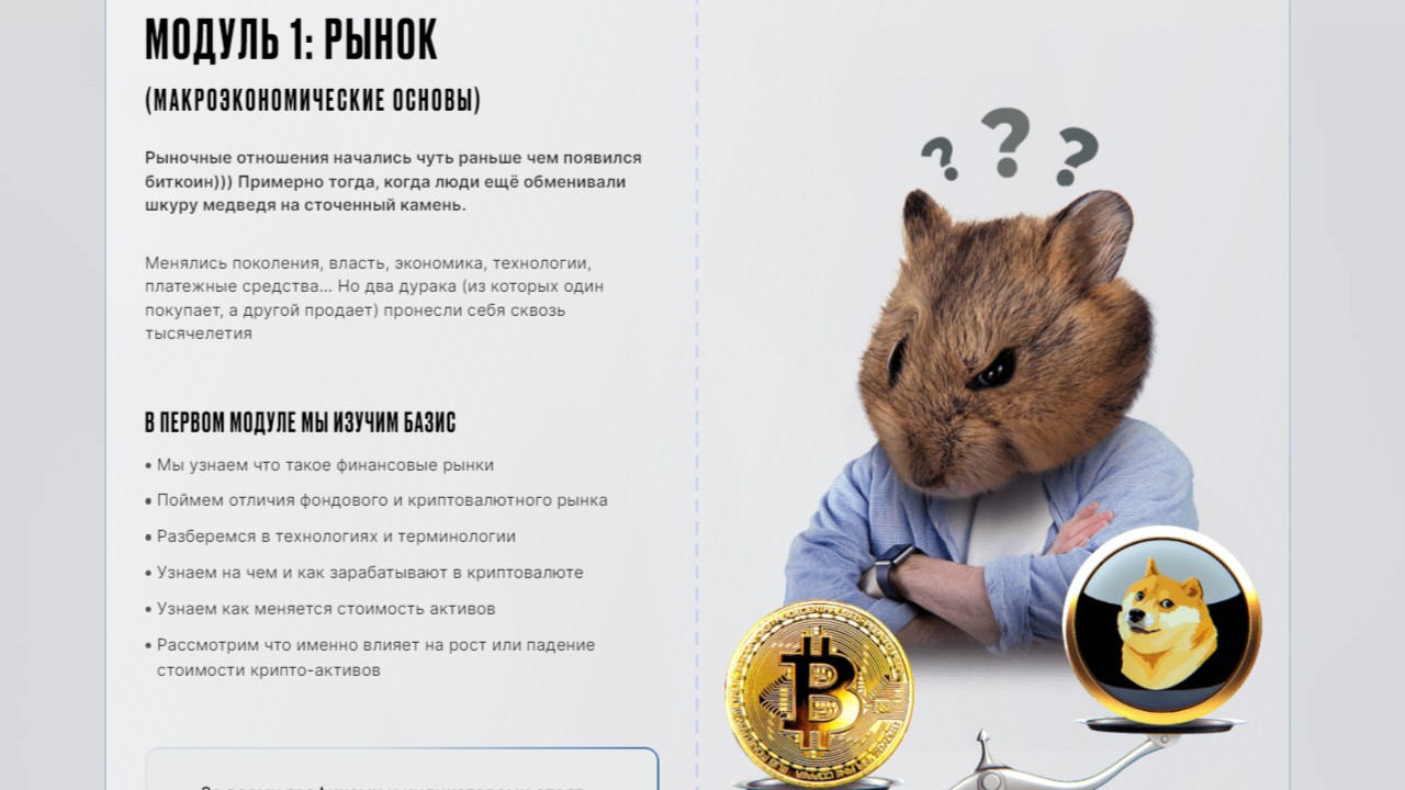 Что такое финансовые рынки? В чем разница между фондовым и криптовалютным рынком? Курс DYOR.