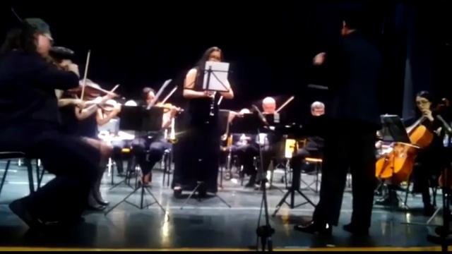 Gabriel Oboe Live Concert for Clarinet - The Mission Soundtrack смотреть онлайн