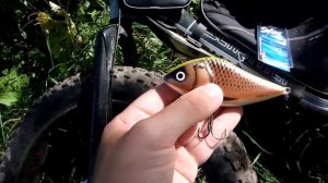 Лучший спиннинг для твичинга крупных воблеров