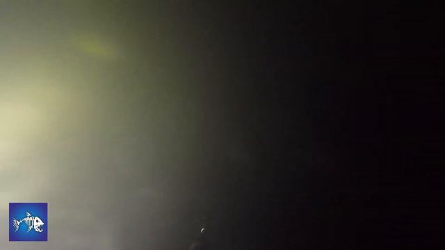 Подводная охота Столько карася и судака я еще не видел, часть 2 смотреть онлайн