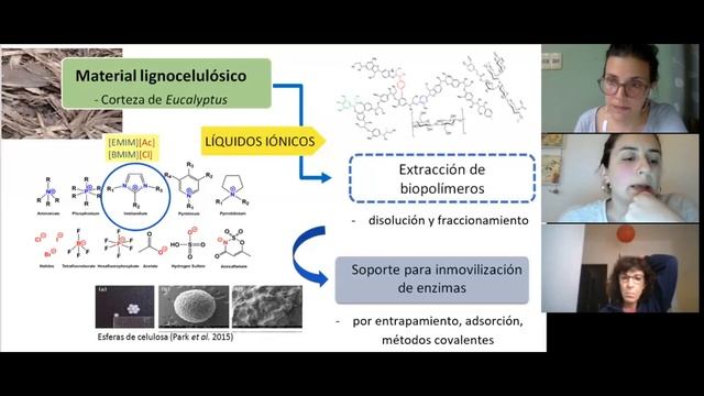 Clase_Residuos forestales 2 смотреть онлайн