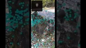 3D фотография с помощью сканера LIDAR на iPhone 13