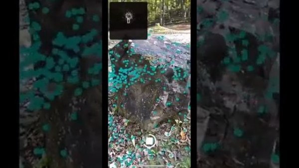 3D фотография с помощью сканера LIDAR на iPhone 13