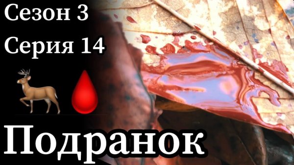 Обзадил! Неудачный выстрел по оленю из лука.