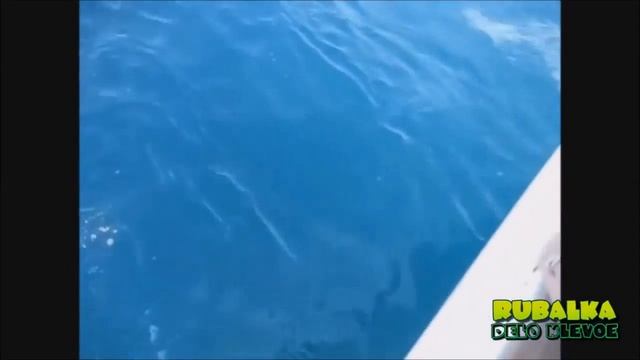 Удочка FisherGoMan и активатор клева Fish Hungry в подарок смотреть онлайн