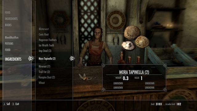 Skyrim:The Blood Warrior Part 19 смотреть онлайн