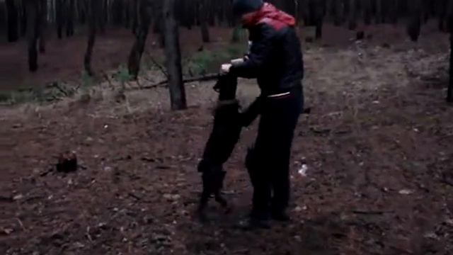 Пуляха пятый месяц смотреть онлайн