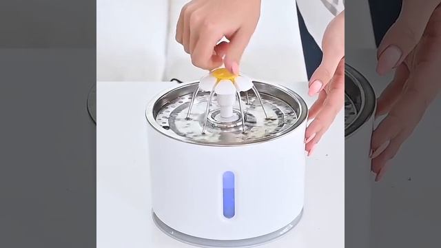 Поильник для кошек смотреть онлайн