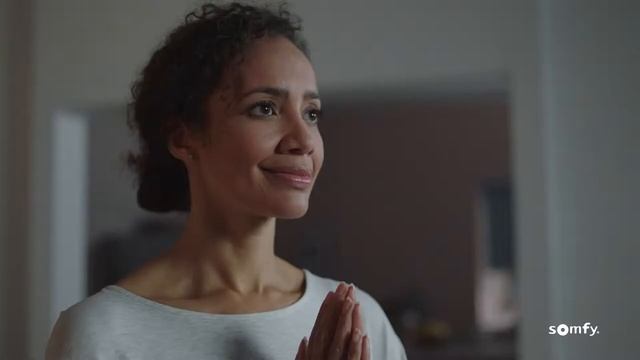 Автоматические горизонтальные жалюзи с электроприводами Somfy (12+) смотреть онлайн