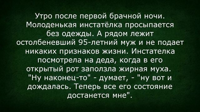 Инстатёлка и Мёртвый Старый Муж! Сборник Изумрудных Анекдотов №72 смотреть онлайн