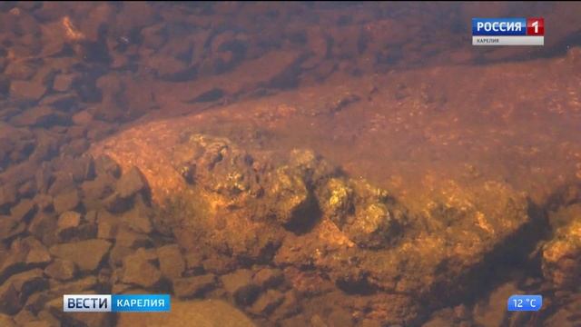 Результаты анализа проб воды из озера Сандал