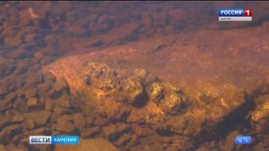 Результаты анализа проб воды из озера Сандал