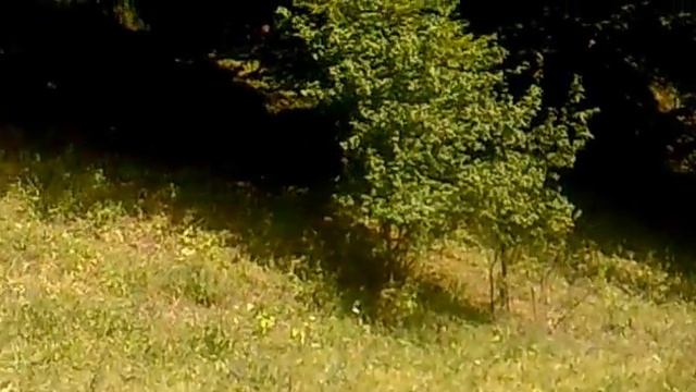 СКАЙРИМ.(Азербайджан). смотреть онлайн