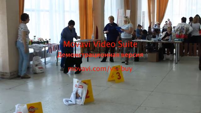Моно КБТ Новосибирск 29.04.2017 - сука-юниор смотреть онлайн