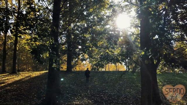 Осень, ты на грусть мою похожа. Вторая половина жизни. Кирсанов смотреть онлайн