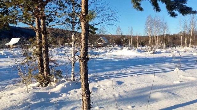 Про того кто живёт в саду. смотреть онлайн