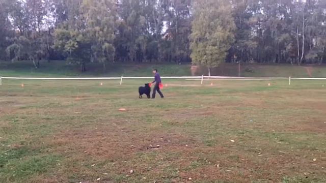 Людмила Попова и грюнендаль Форд от сольника смотреть онлайн