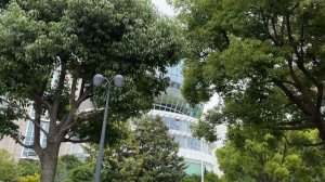 ШАНХАЙ ЗА 9 ЧАСОВ | Пересадка в Китае