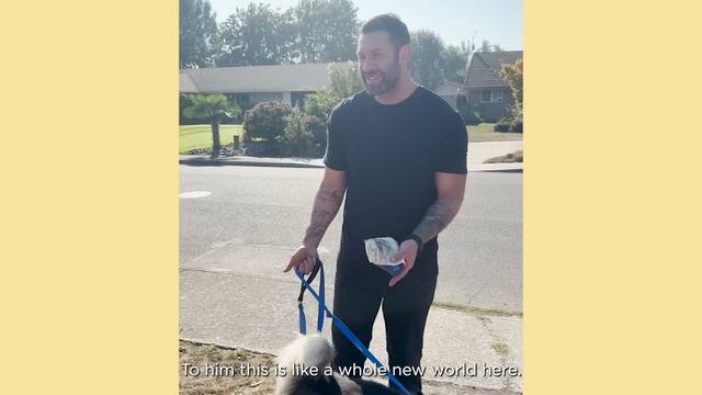 Husky Neglected In A Backyard For Years Is Finally Free | The Asher House