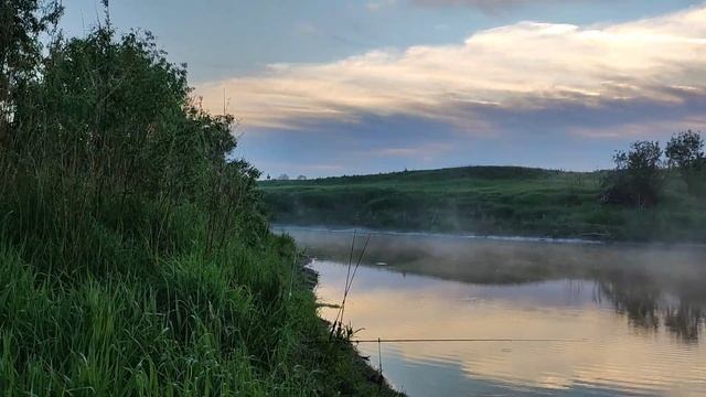 Рыбалка на Р. Оша омская область Июль 2022 (косули, кабаны, андатры) редкие кадры смотреть онлайн