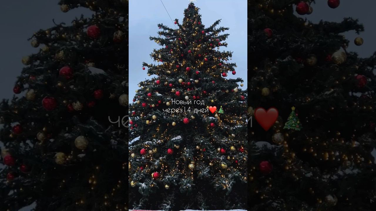 новый год через 14 дней!❤️ждёте? #влог #новыйгод #новыйгод2024 #праздник #буднистудентки #влогмас смотреть онлайн