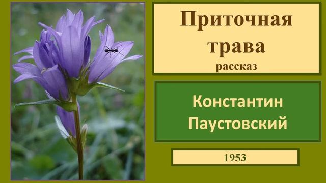 Константин Паустовский Приточная трава смотреть онлайн