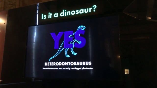 Лондон I Музей естествознания I Национальный исторический музей смотреть онлайн