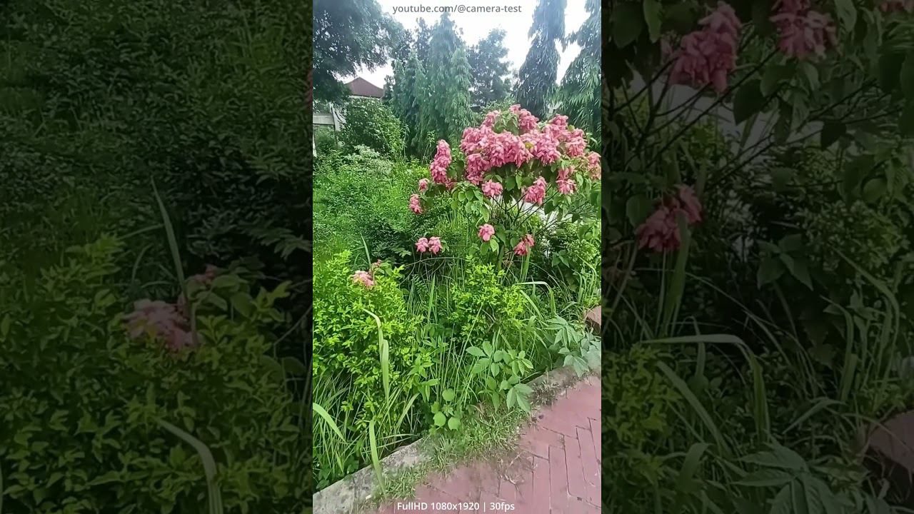 Realme 8 - Как снимает вертикальное видео? (1080x1920 | 30fps)