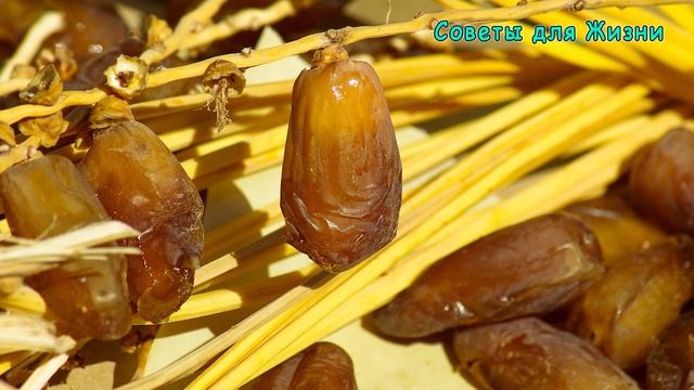 ✔ Что БУДЕТ если есть ФИНИКИ КАЖДЫЙ ДЕНЬ ? Это ПОРАЖАЕТ ДАЖЕ ВРАЧЕЙ смотреть онлайн