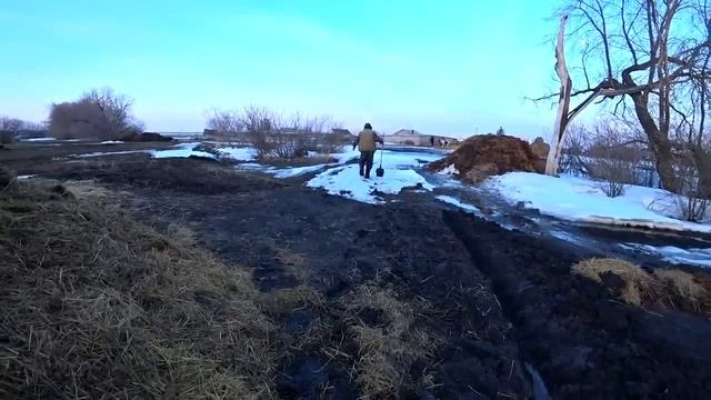 Спасаемся от потопа. Доим коров, поим телят. Начались окролы. Уронили скворечник при монтаже. смотреть онлайн