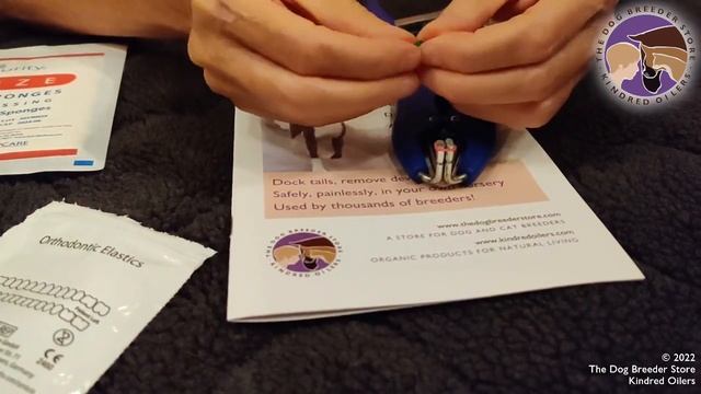 How I dock my puppies' tails painlessly in my own nursery смотреть онлайн