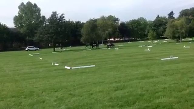 Zulu Moreton Morell смотреть онлайн