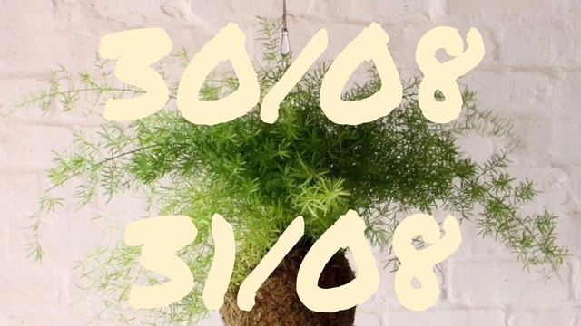 Лунный календарь для цветоводов с 29/08-4/09.22г смотреть онлайн