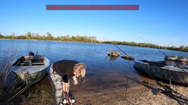 Рыбалка на Днепре, май 2022 - у кумовей в гостях смотреть онлайн