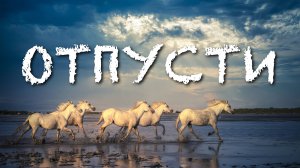 Sheepovskaya - Отпусти (Paul Andi Remix)