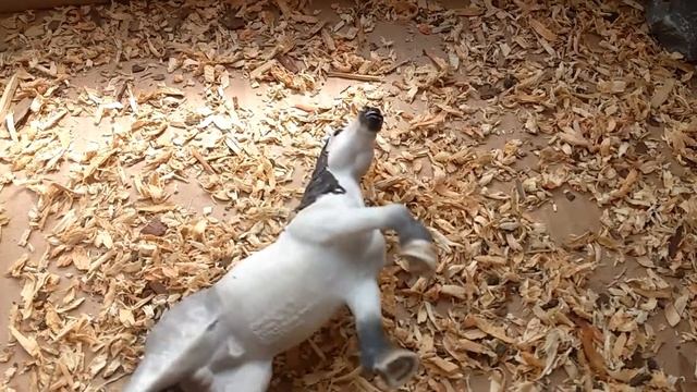 Типы лошадей schleich/Шляйх смотреть онлайн