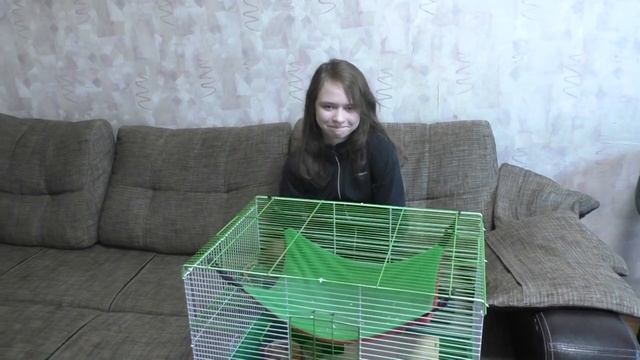 Почему бывают травмы у крыс? смотреть онлайн