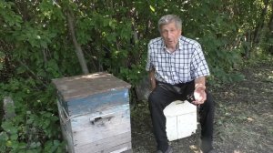 СЛЁТ ПЧЁЛ ОСЕНЬЮ.