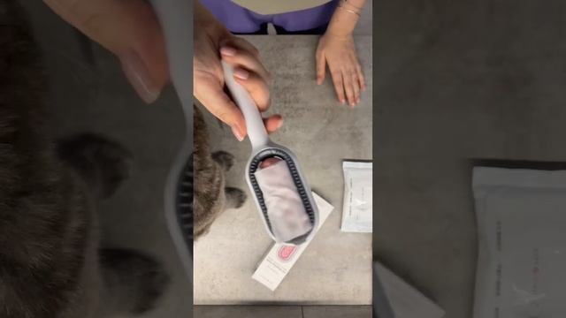 Расческа-дешеддер для кота ? как вычесать кота? #shorts #котики #кот #кошки смотреть онлайн
